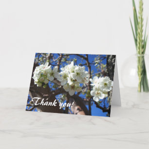 White Blossom Clusters Spring Flowering Pear Tree Letterpress Thank You Card