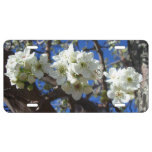 White Blossom Clusters Spring Flowering Pear Tree License Plate