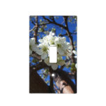 White Blossom Clusters Spring Flowering Pear Tree Light Switch Cover
