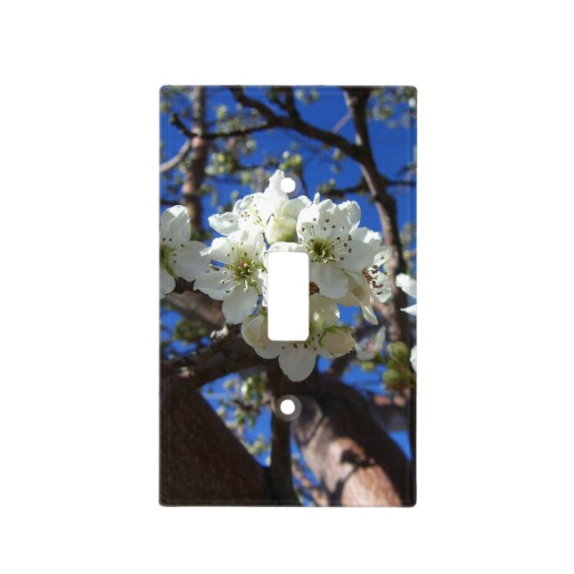White Blossom Clusters Spring Flowering Pear Tree Light Switch Cover (Front)