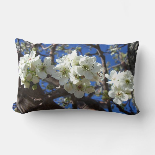 White Blossom Clusters Spring Flowering Pear Tree Lumbar Pillow (Front)