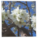 White Blossom Clusters Spring Flowering Pear Tree Napkin