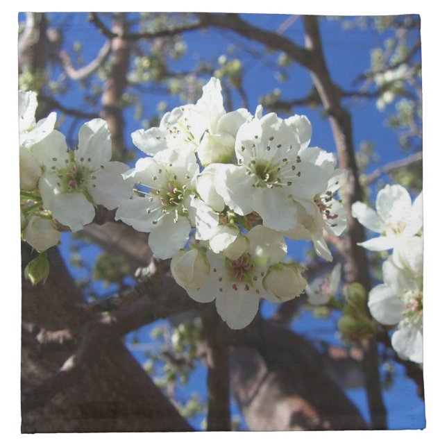 White Blossom Clusters Spring Flowering Pear Tree Napkin (Front)