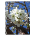 White Blossom Clusters Spring Flowering Pear Tree Notebook