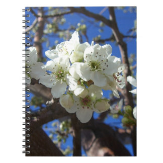 White Blossom Clusters Spring Flowering Pear Tree Notebook