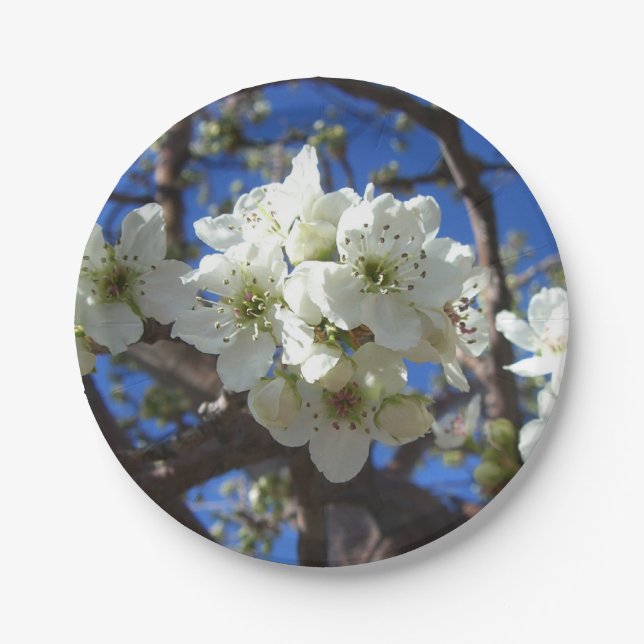 White Blossom Clusters Spring Flowering Pear Tree Paper Plates (Front)