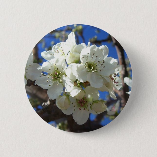 White Blossom Clusters Spring Flowering Pear Tree Pinback Button (Front)