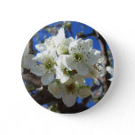 White Blossom Clusters Spring Flowering Pear Tree Pinback Button
