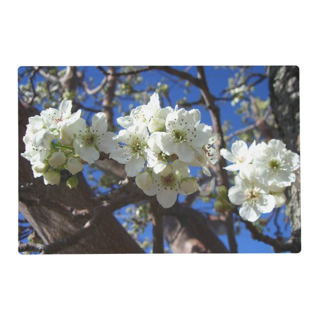 White Blossom Clusters Spring Flowering Pear Tree Placemat (Front)