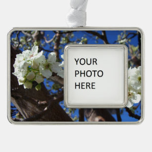 White Blossom Clusters Spring Flowering Pear Tree Silver Plated Framed Ornament