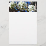 White Blossom Clusters Spring Flowering Pear Tree Stationery