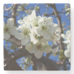 White Blossom Clusters Spring Flowering Pear Tree Stone Coaster