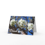White Blossom Clusters Spring Flowering Pear Tree Thank You Card