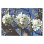 White Blossom Clusters Spring Flowering Pear Tree Tissue Paper