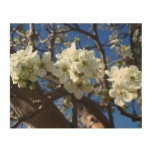 White Blossom Clusters Spring Flowering Pear Tree Wood Wall Decor