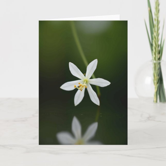 White Blossom Mothers Day Photo Card (Front)