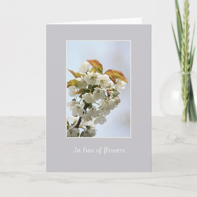 white blossom sympathy card in lieu of flowers (Front)