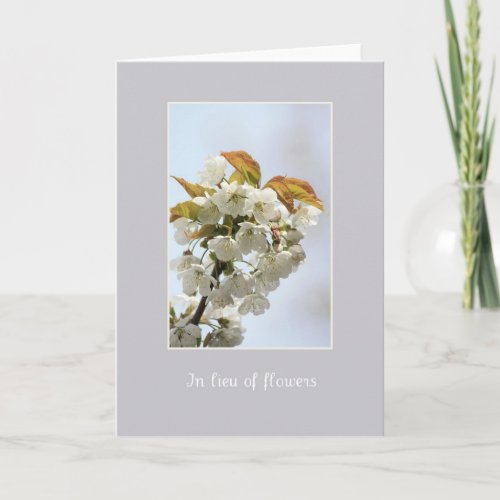 white blossom sympathy card in lieu of flowers