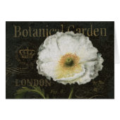 White Blossoms and Leaves (Front Horizontal)