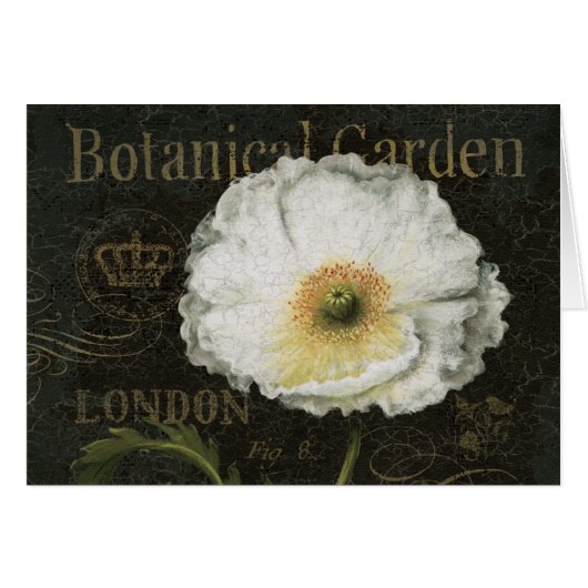 White Blossoms and Leaves Cards (Front Horizontal)