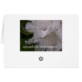 White Blossoms Cards (Back Horizontal)