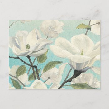 White Blossoms From The South Postcard by wildapple at Zazzle