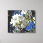White Blossoms I Ornamental Pear Tree Canvas Print
