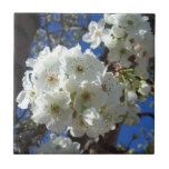 White Blossoms I Ornamental Pear Tree Ceramic Tile