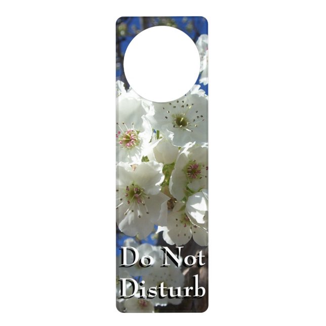 White Blossoms I Ornamental Pear Tree Door Hanger (Front)