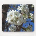 White Blossoms I Ornamental Pear Tree Mouse Pad
