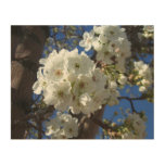 White Blossoms I Ornamental Pear Tree Wood Wall Decor