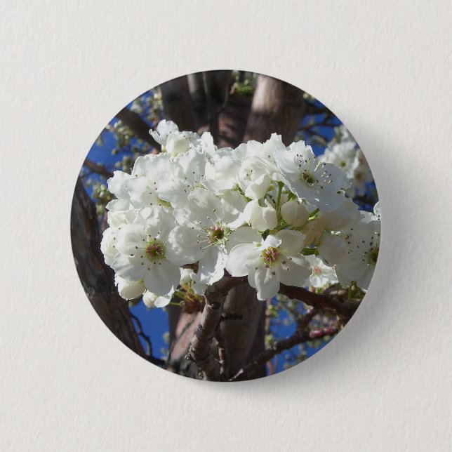 White Blossoms II Spring Flowering Tree Button (Front)