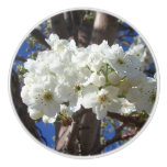 White Blossoms II Spring Flowering Tree Ceramic Knob