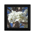 White Blossoms II Spring Flowering Tree Jewelry Box