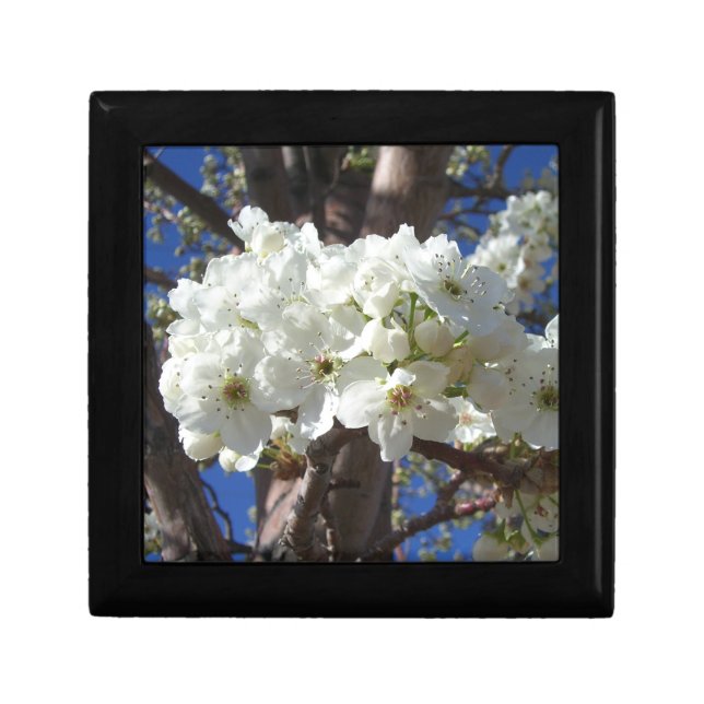 White Blossoms II Spring Flowering Tree Jewelry Box (Front)