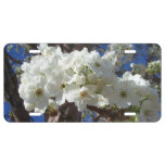 White Blossoms II Spring Flowering Tree License Plate