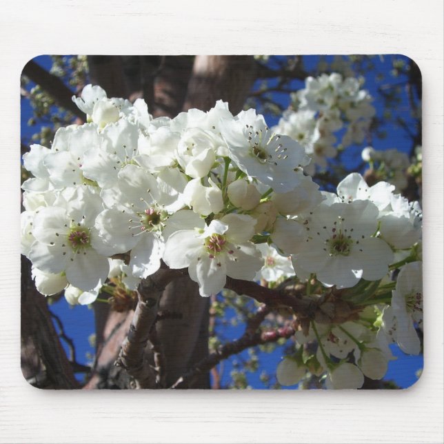 White Blossoms II Spring Flowering Tree Mouse Pad (Front)