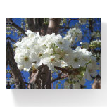 White Blossoms II Spring Flowering Tree Paperweight