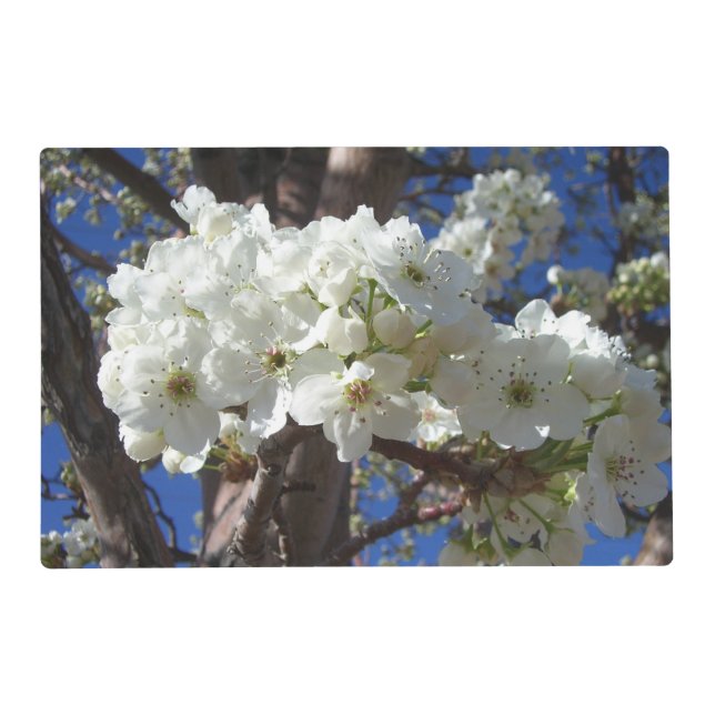 White Blossoms II Spring Flowering Tree Placemat (Front)