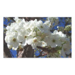 White Blossoms II Spring Flowering Tree Rectangular Sticker
