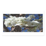 White Blossoms II Spring Flowering Tree Rectangular Sticker