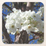 White Blossoms II Spring Flowering Tree Square Paper Coaster