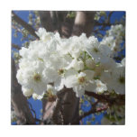 White Blossoms II Spring Flowering Tree Tile