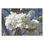 White Blossoms II Spring Flowering Tree Tissue Paper