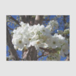 White Blossoms II Spring Flowering Tree Tissue Paper