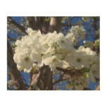 White Blossoms II Spring Flowering Tree Wood Wall Decor