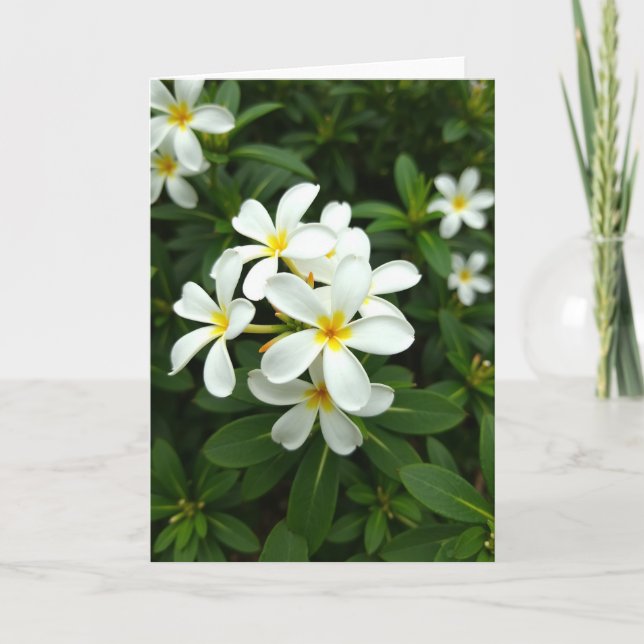 White Blossoms Mothers Day Card (Front)