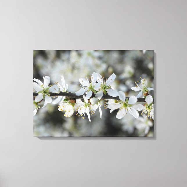 White Blossoms Photo Wrapperd Canvas Print (Front)