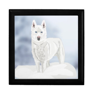 White Blue Eyed Husky Gift Box