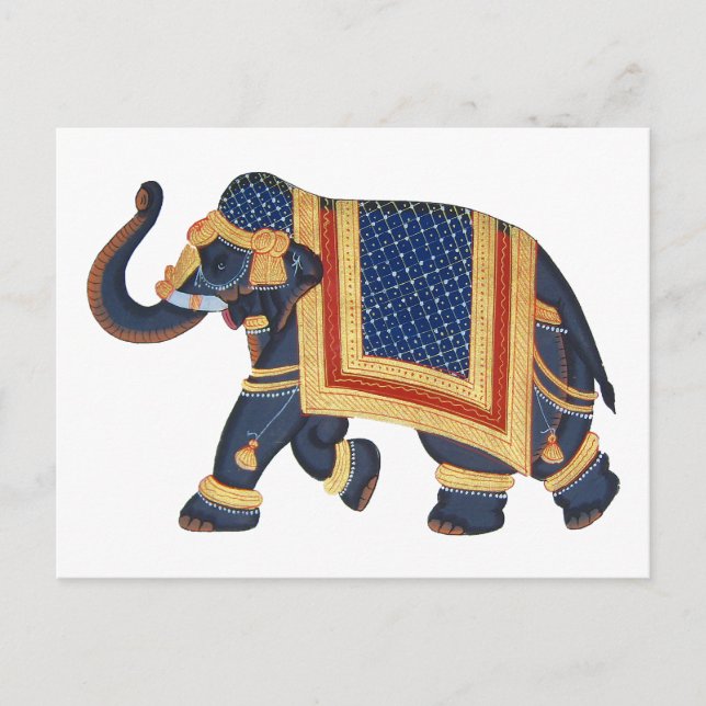 white blue grey gold red Elephant India Style Postcard (Front)